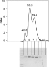 FIG. 7.
