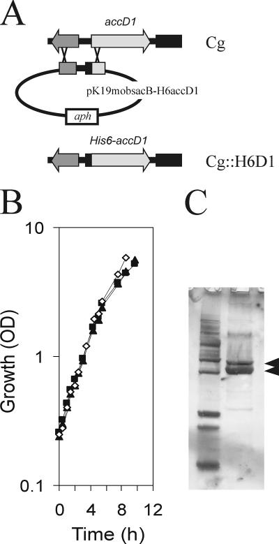 FIG. 2.