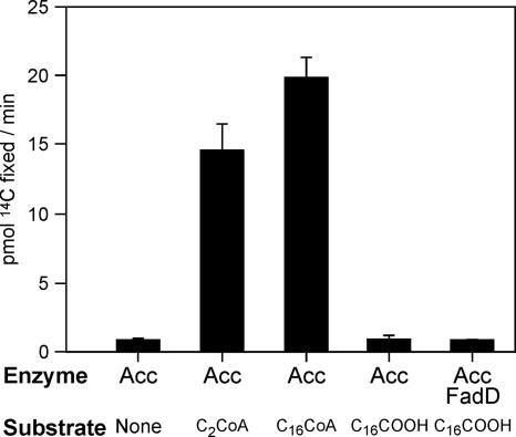 FIG. 8.