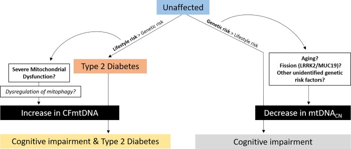 Fig 10