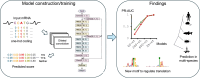 Graphical Abstract