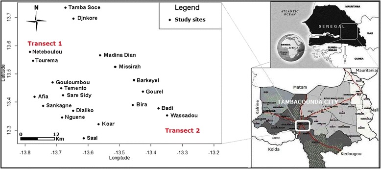 Fig. 1