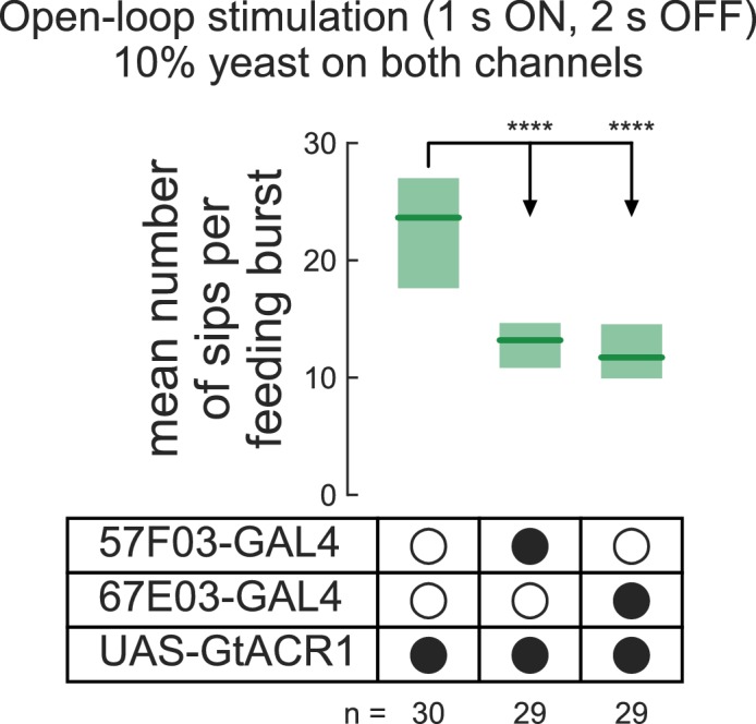 Figure 2—figure supplement 1.