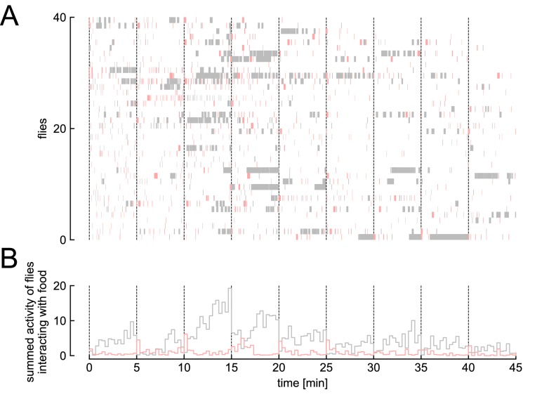 Figure 4—figure supplement 1.