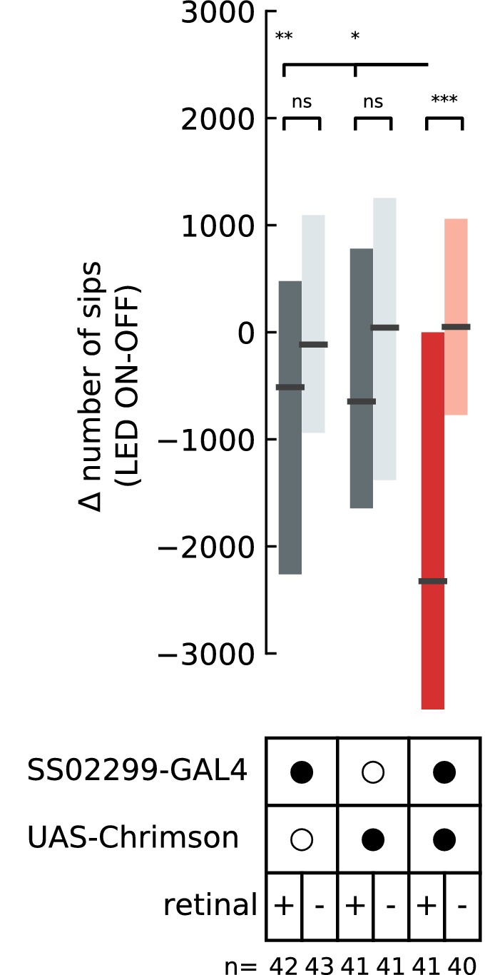 Figure 2—figure supplement 2.