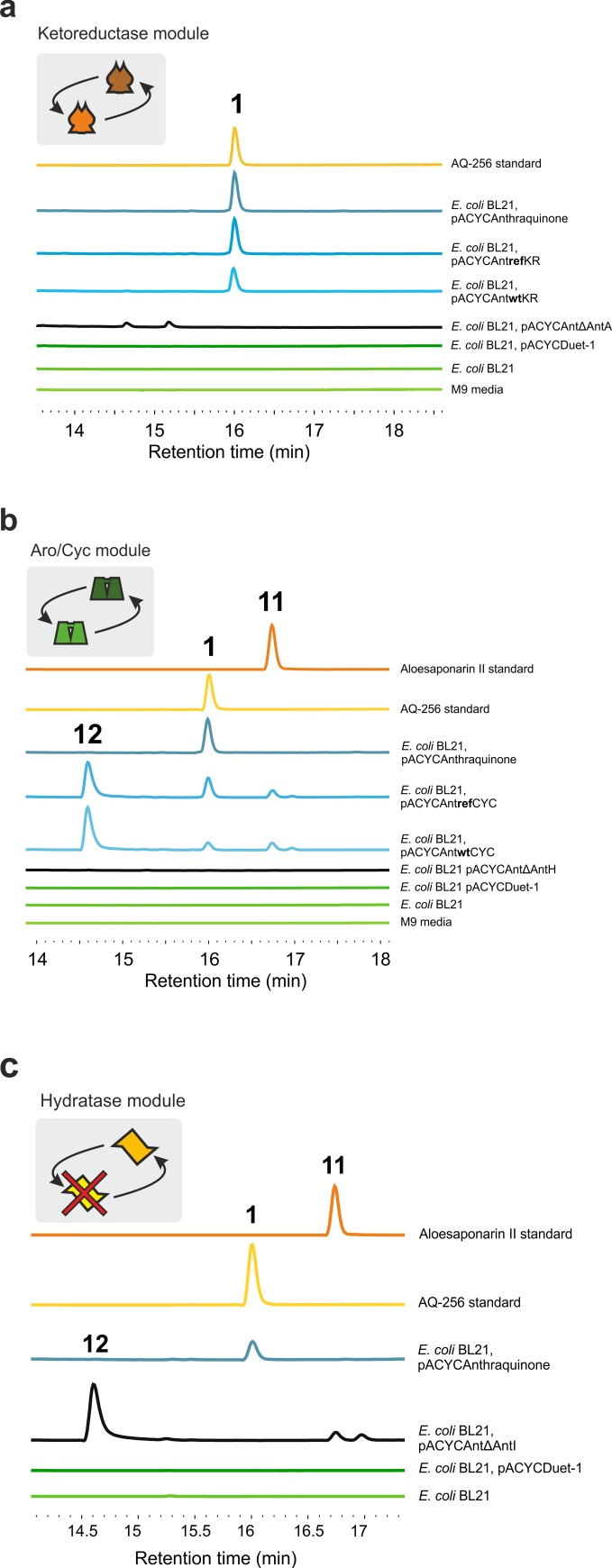 Fig 6