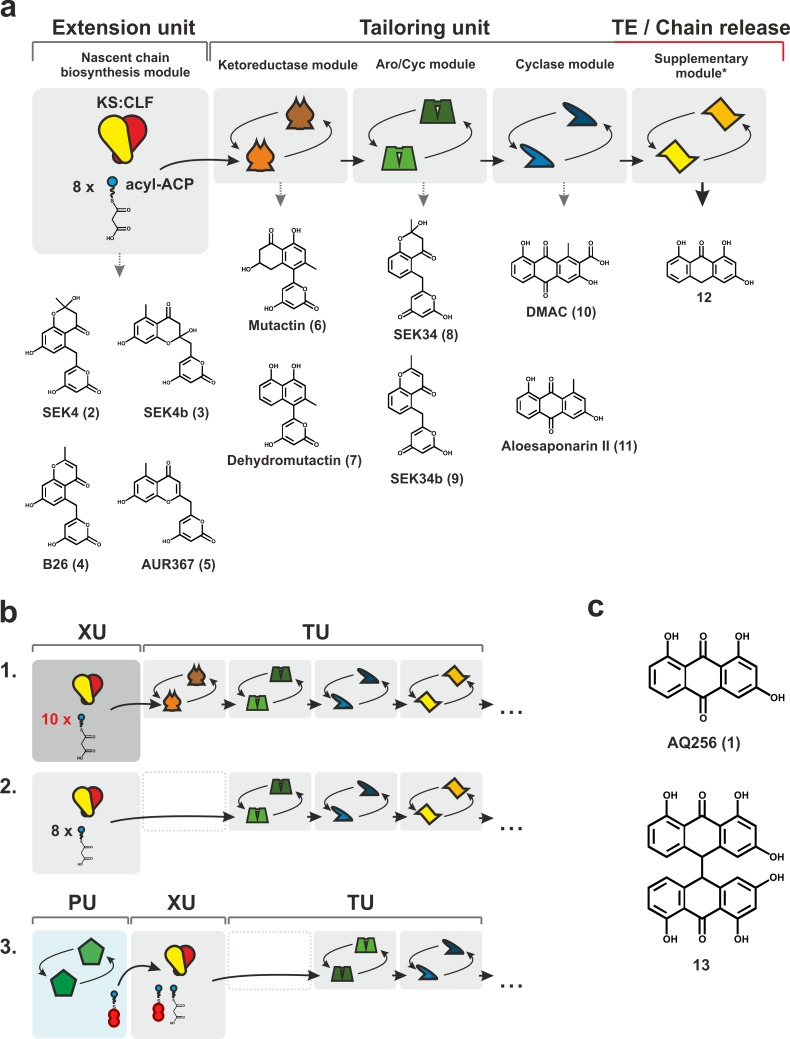 Fig 2