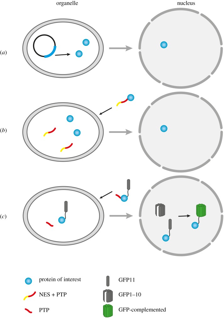 Figure 3.