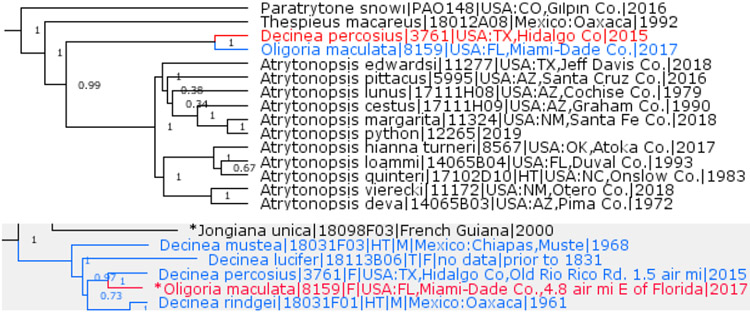 Fig. 16.