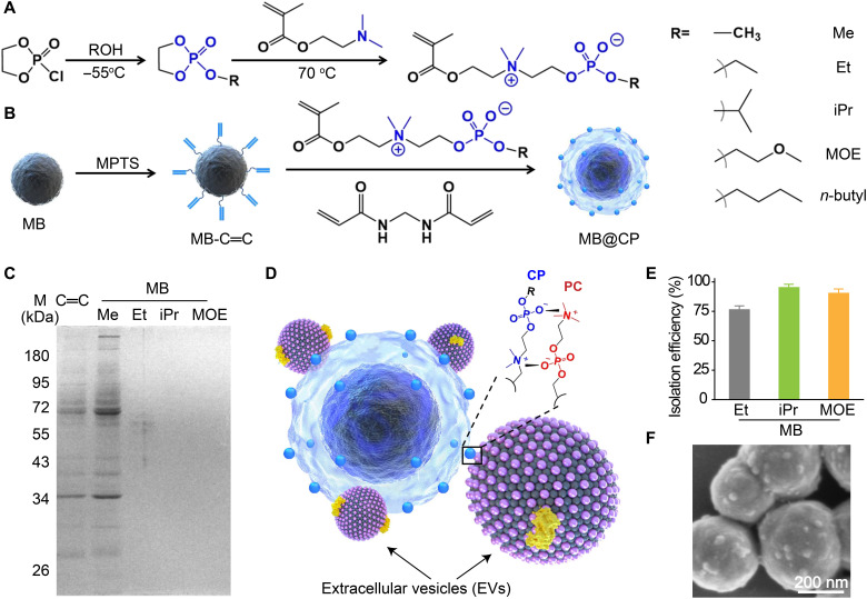 Fig. 1.