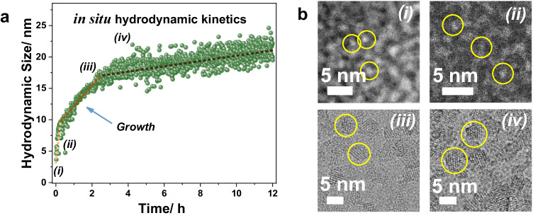 Fig. 4