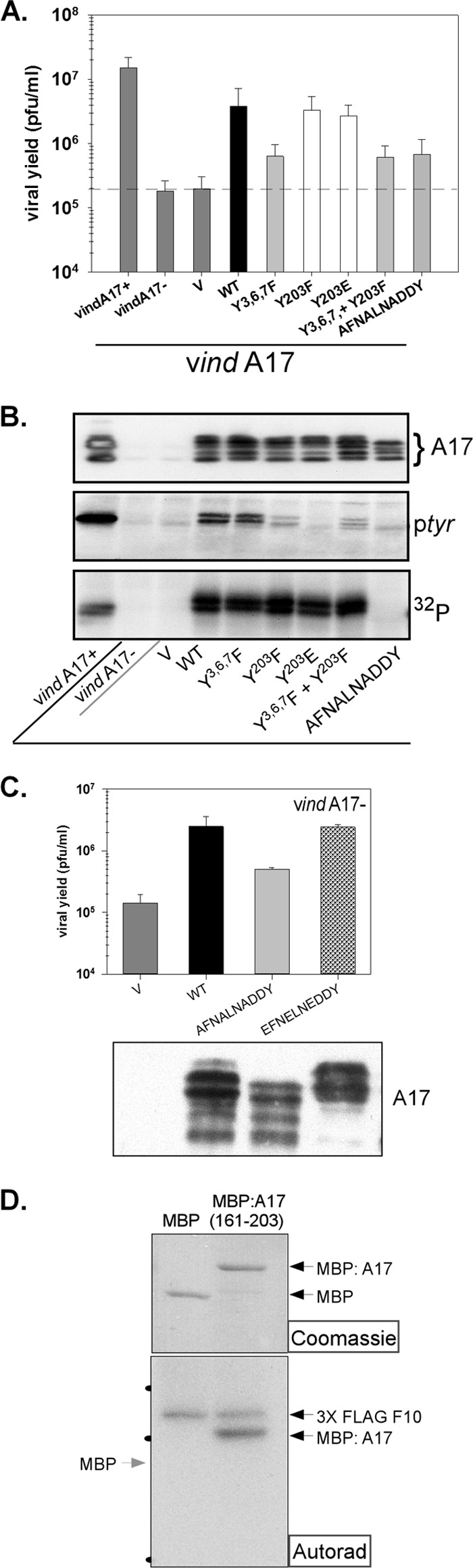 Fig 5