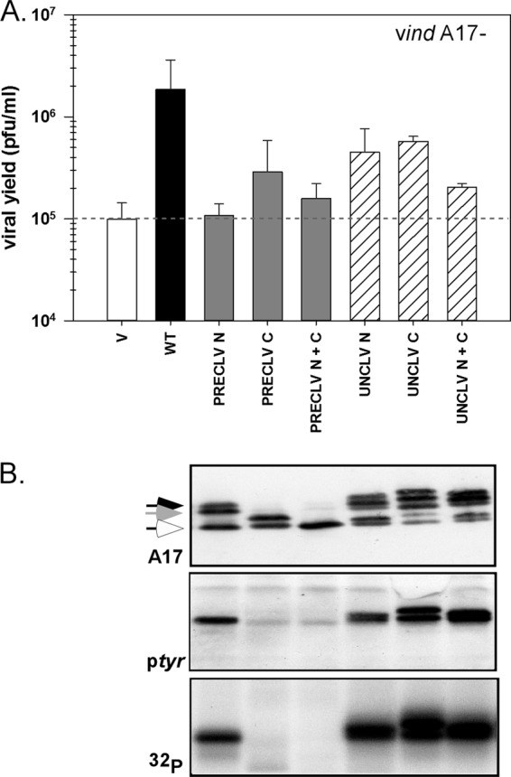 Fig 6