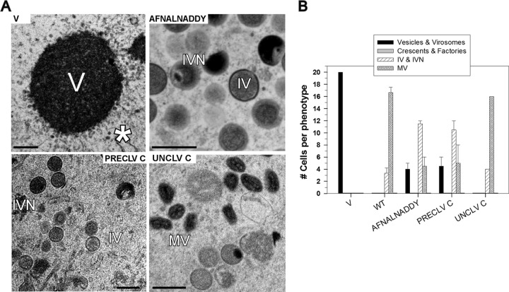 Fig 8