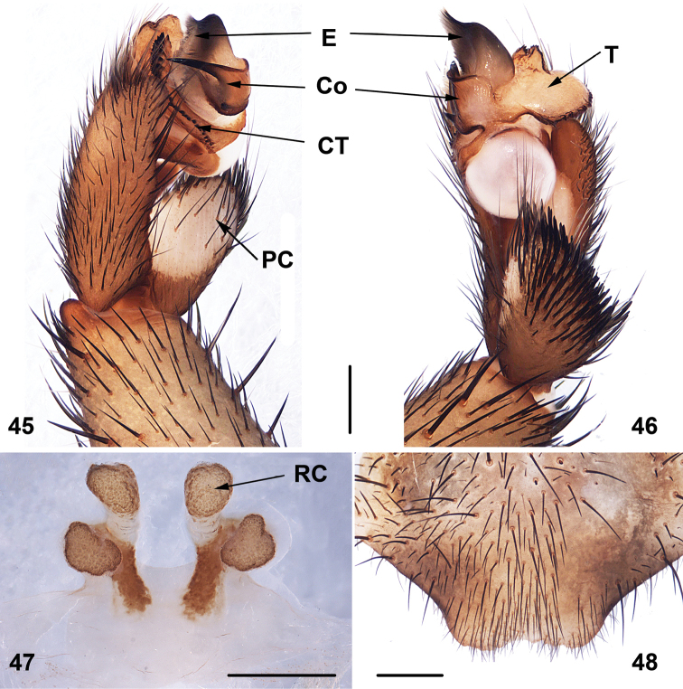 Figures 45–48.