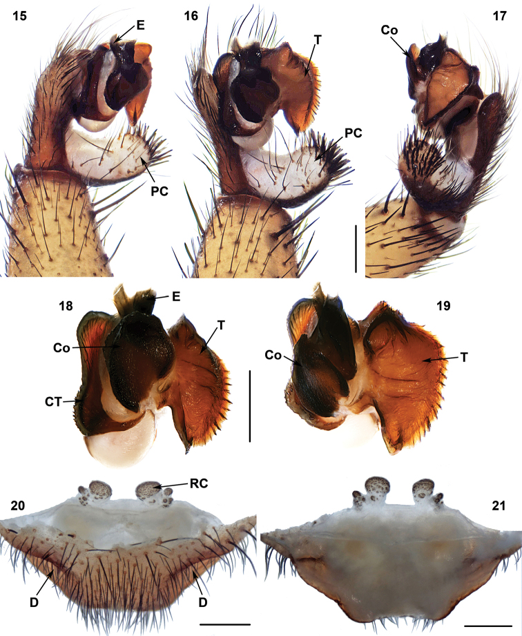 Figures 15–21.