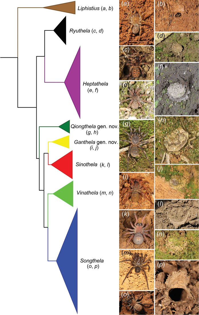 Figure 2.