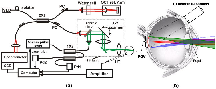 Fig. 1