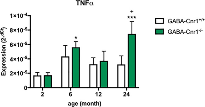 Fig 7