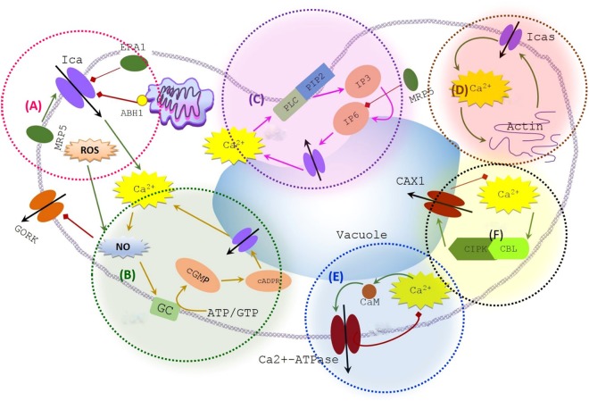 Figure 2