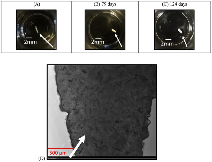 Figure 3(A, B, C, D):