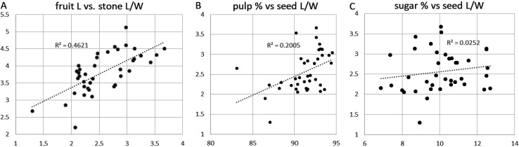 Fig. 9