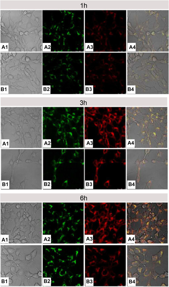 FIGURE 14