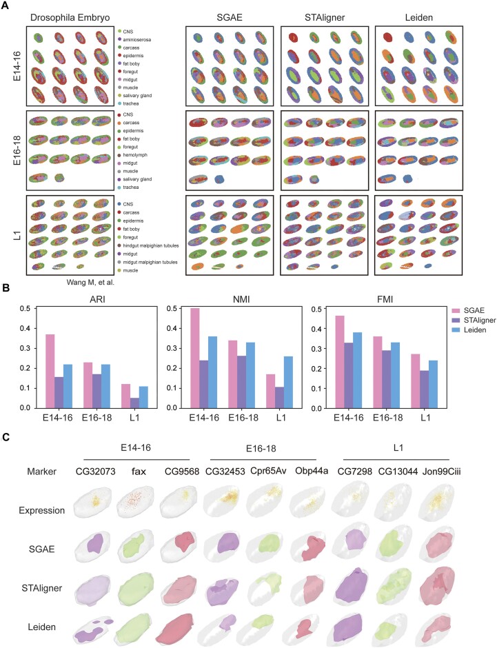 Figure 4: