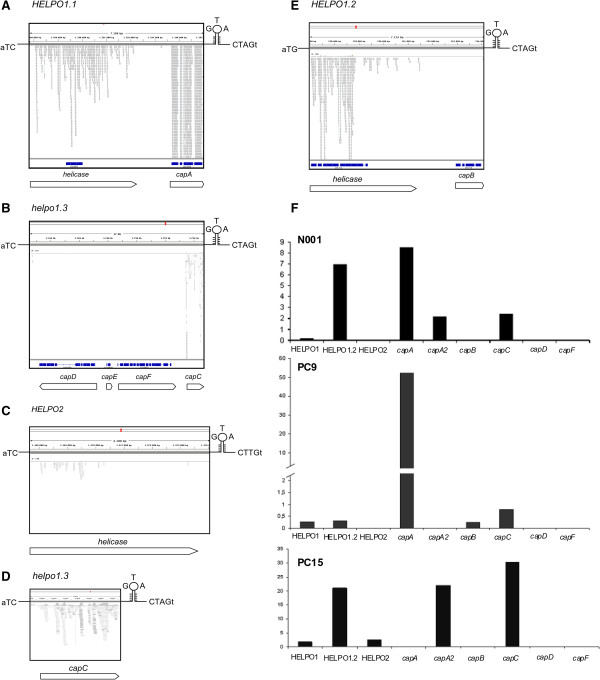 Figure 5