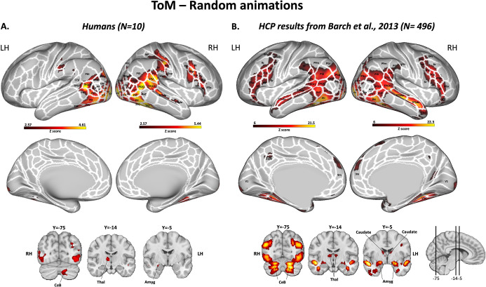 Figure 3—figure supplement 1.