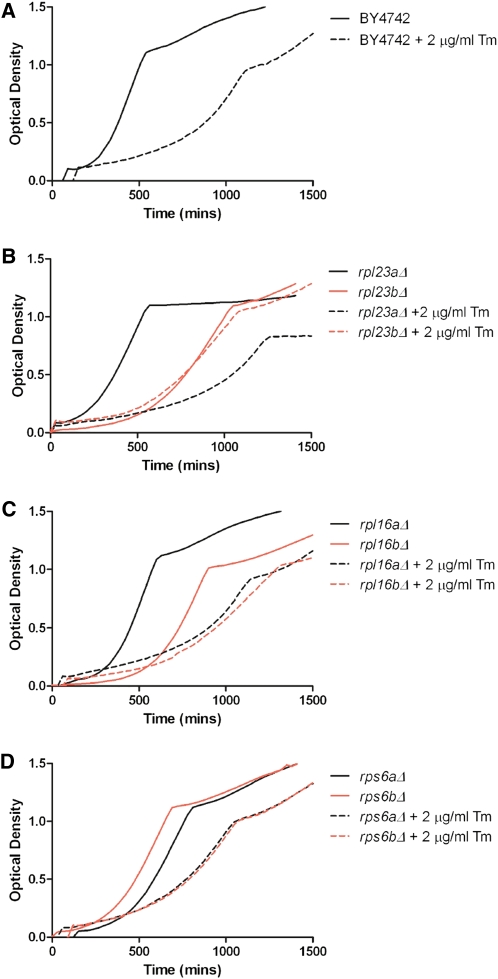 Figure 4 