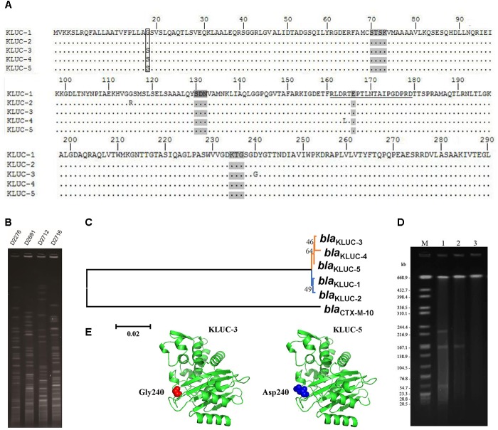 FIGURE 1