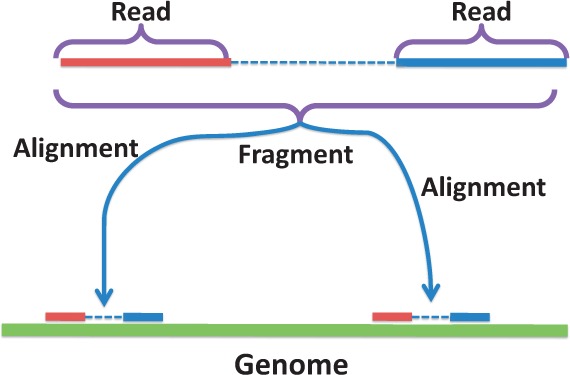 Fig. 1.