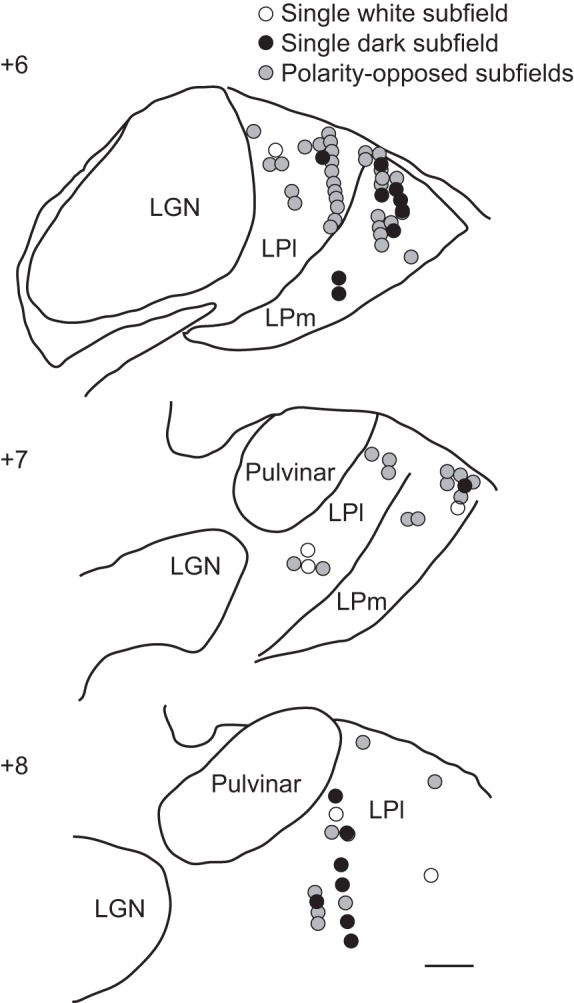 Fig. 9.