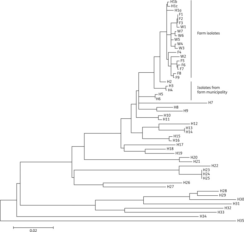 Figure 1.