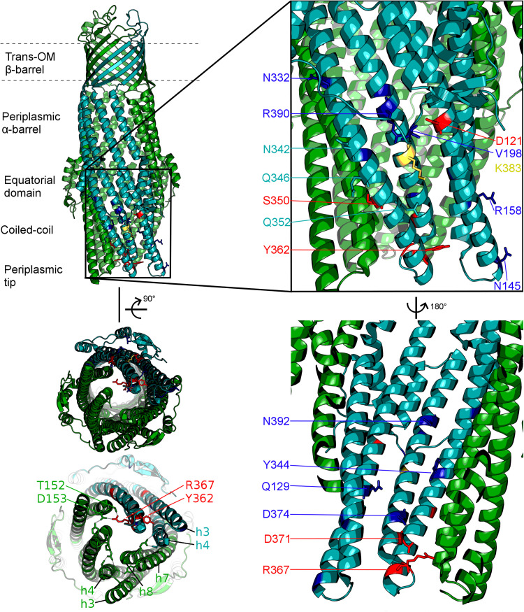 FIGURE 2