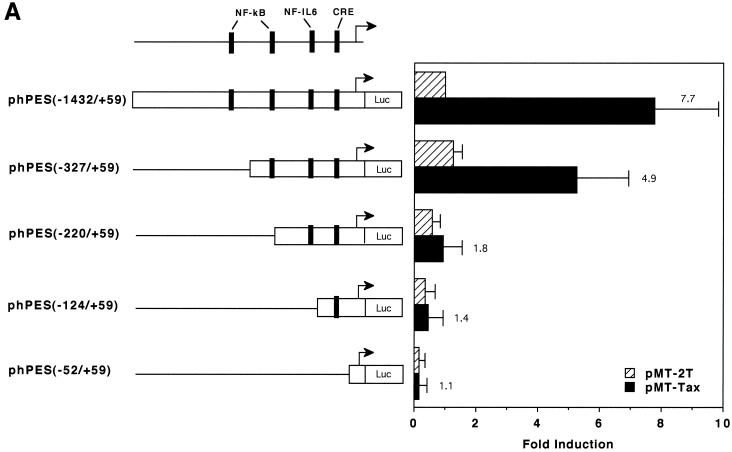 FIG. 3