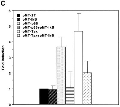 FIG. 3