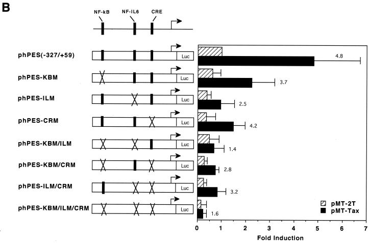 FIG. 3