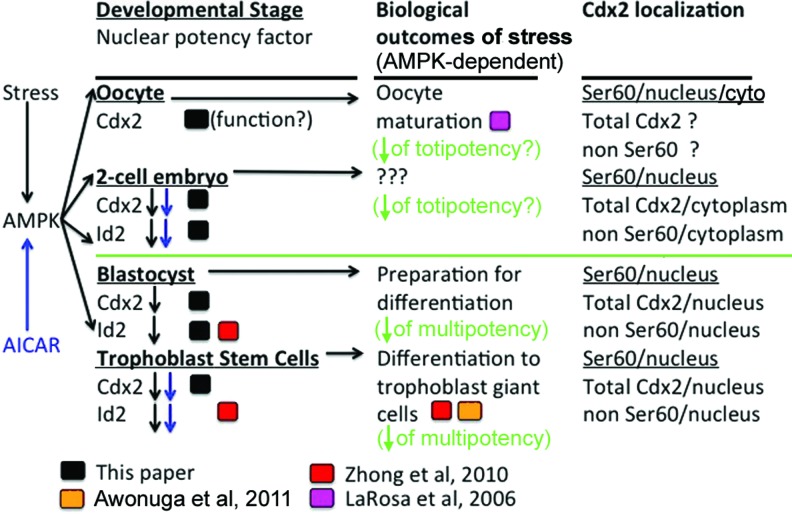 FIG. 6.