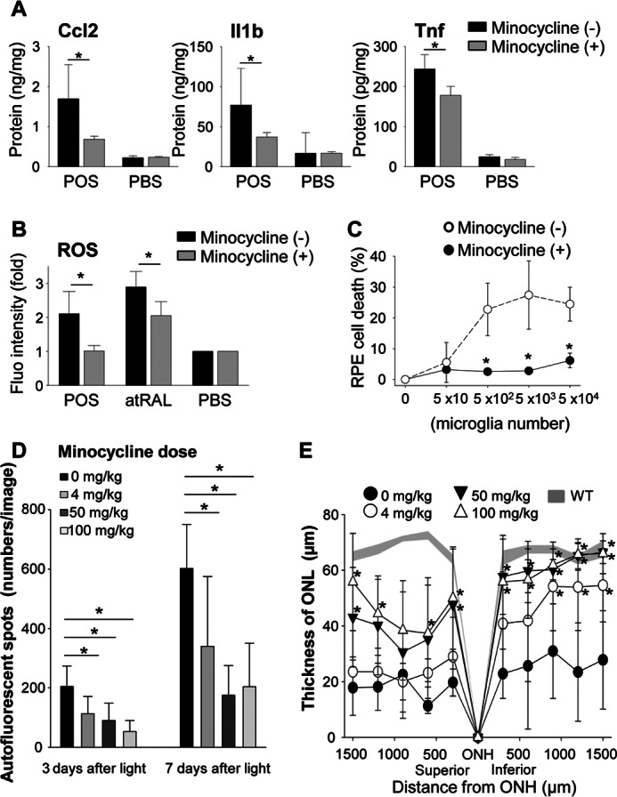 FIGURE 12.