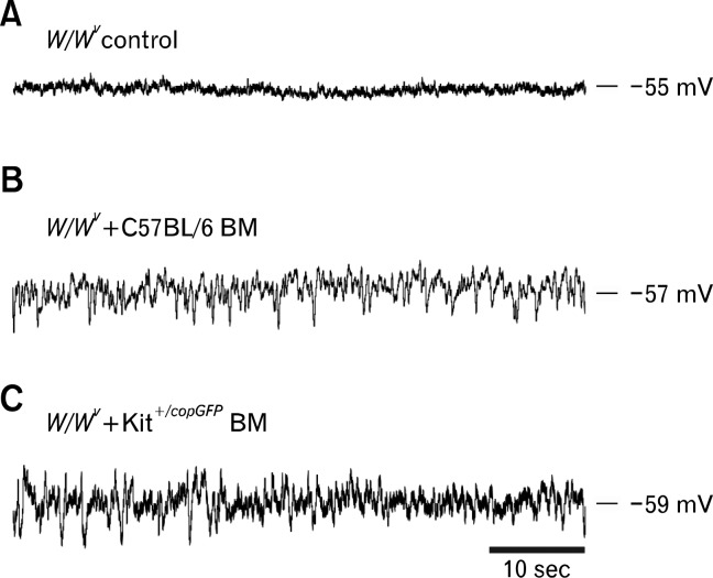 Figure 5.