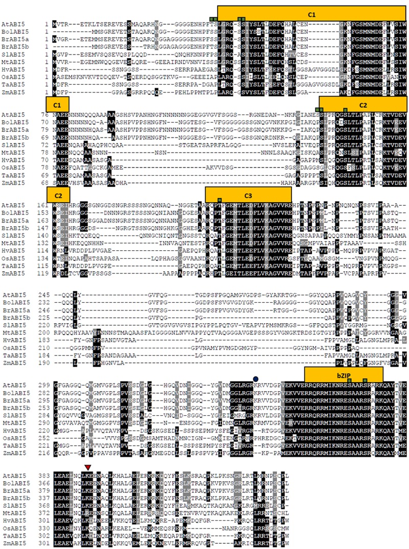 FIGURE 3