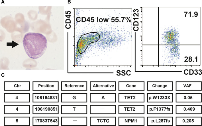 FIGURE 2