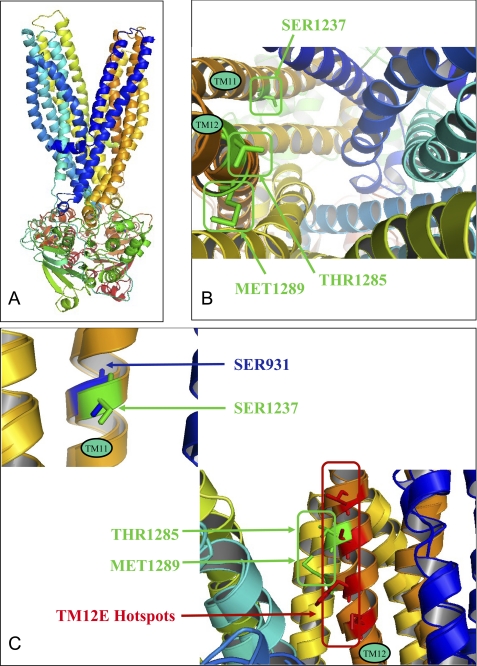 FIGURE 10.