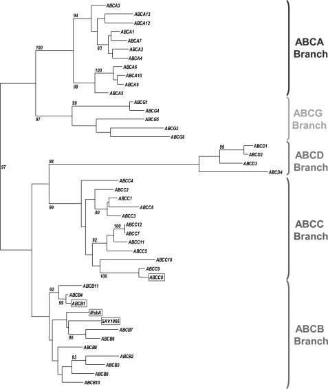 FIGURE 7.