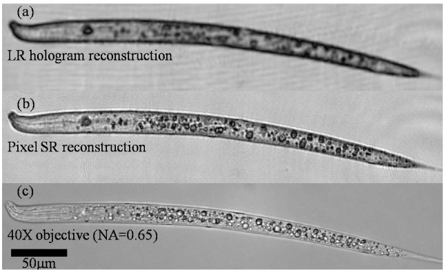 Fig. 7