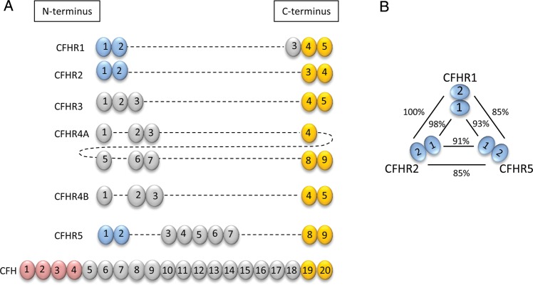 FIGURE 1: