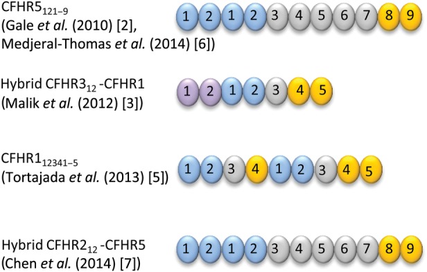 FIGURE 2: