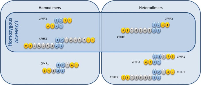 FIGURE 3: